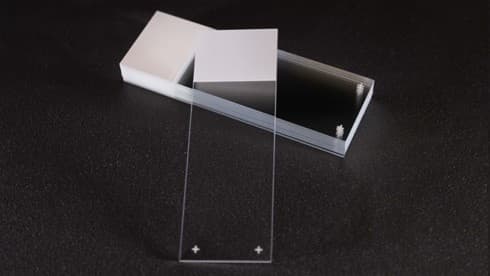SuperFrost Plus™ Adhesion Slides